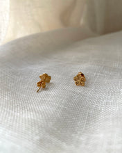 Charger l'image dans la galerie, Boucles d’Oreilles Blush vintage