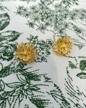 Load image into Gallery viewer, Boucles d’Oreilles vintage Alma
