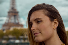 Load image into Gallery viewer, Boucles d’Oreilles Rose vintage
