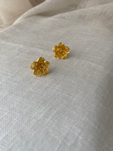 Load image into Gallery viewer, Boucles d’Oreilles vintage Gabrielle
