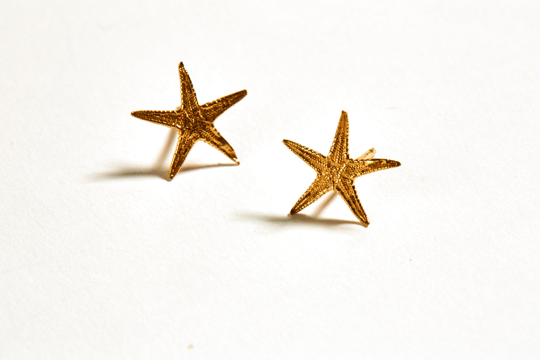 Boucles d’Oreilles Etoile de mer